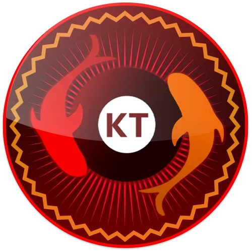 Review Aplikasi koitoto